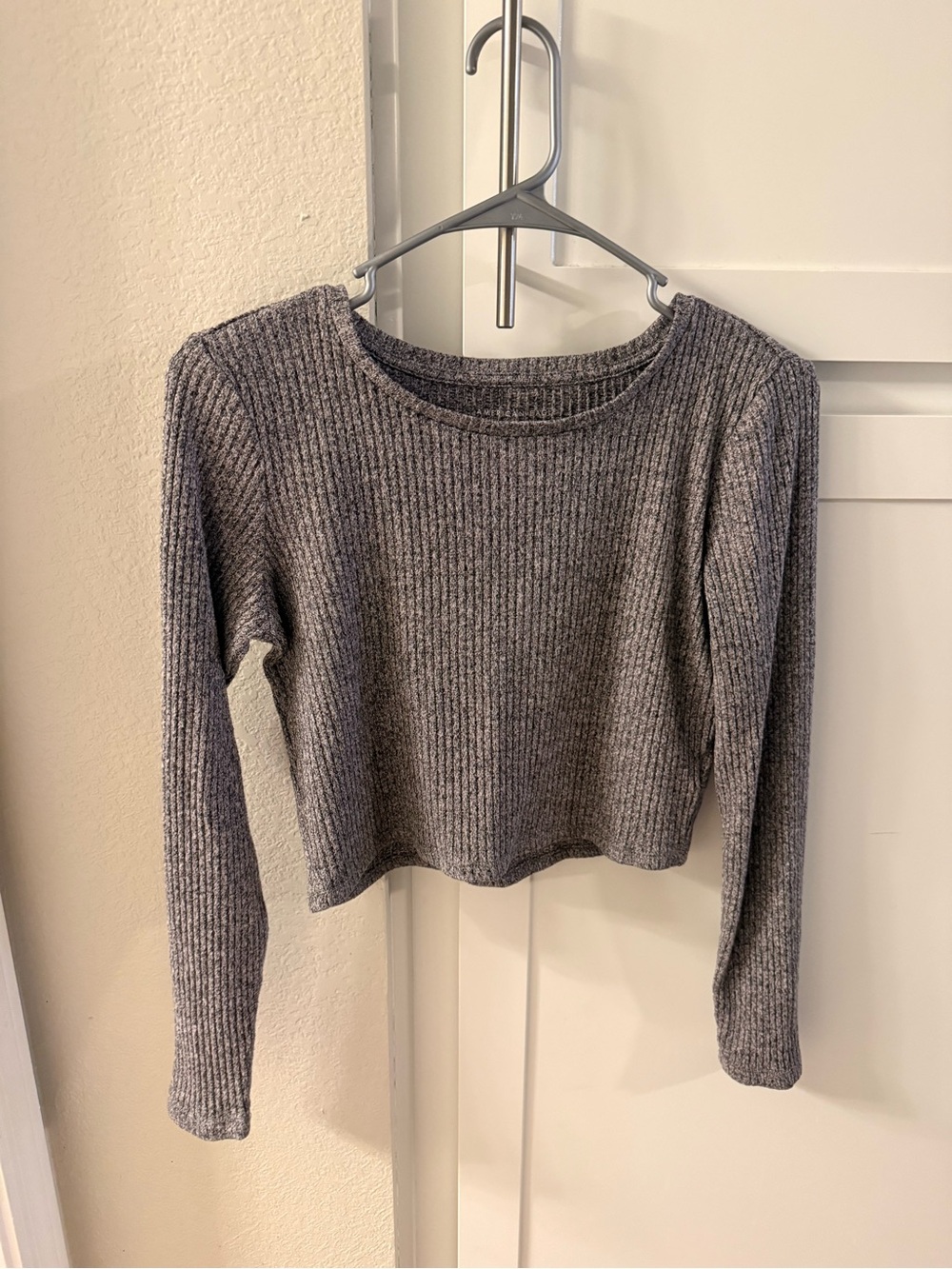 American Eagle Outfitters Purple Ribbed Long-Sleeve Crop Top